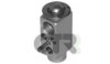 CTR 1212116 Expansion Valve, air conditioning